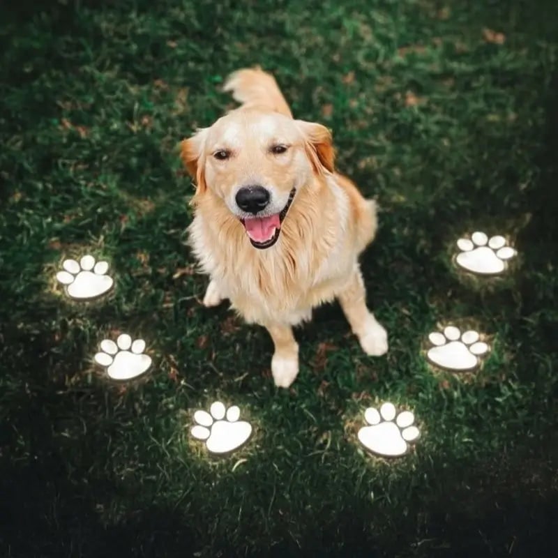 Paw Print Solar Garden Lights Outdoor Pet Decor - Image 3