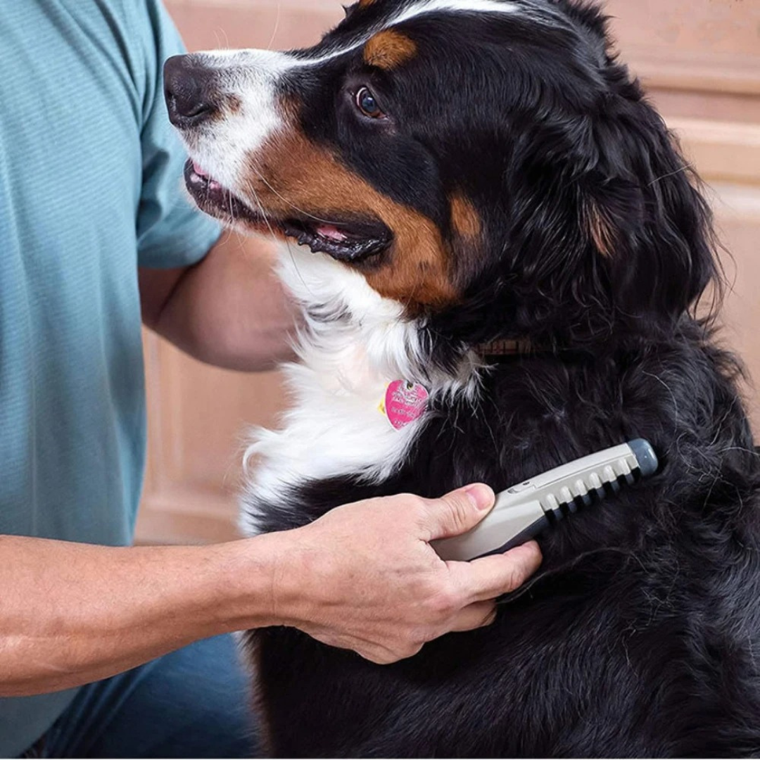 Pet Grooming Brush Easy De-Shedding and Tangle-Free Fur Care - Image 2