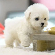 Realistic Robotic Puppy Toy Dog Interactive Companion - Image 2