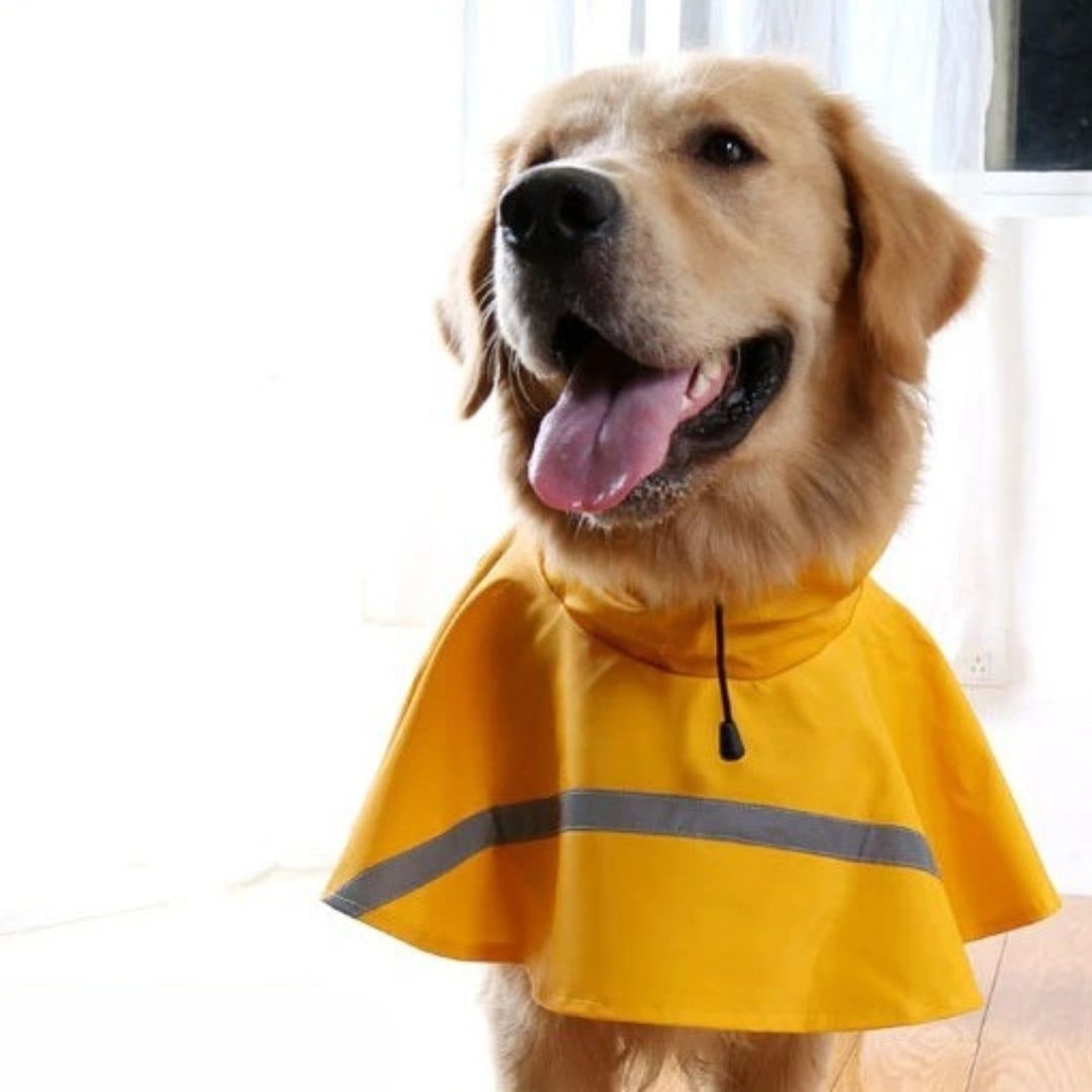 Reflective Dog Raincoat Hood Pet Poncho - Image 1