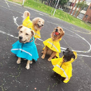 Reflective Dog Raincoat Hood Pet Poncho - Image 6