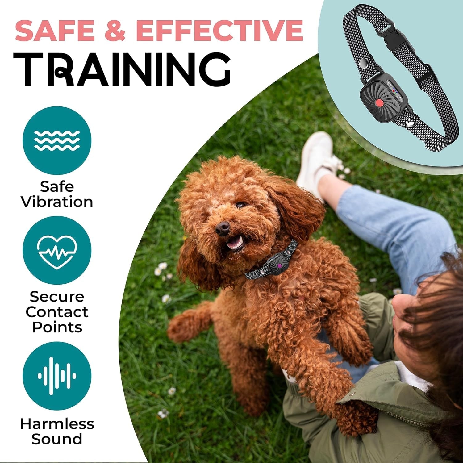 Small Dog Anti-Bark Collar Vibration and Sound Training Features - Image 3