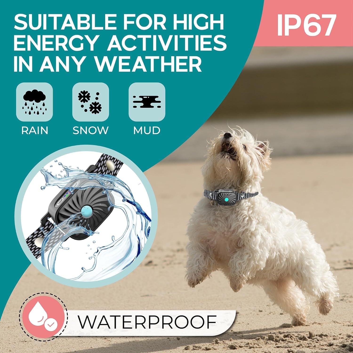 Small Dog Anti-Bark Collar Vibration and Sound Training Features - Image 5