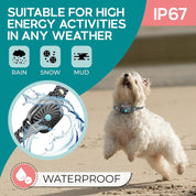 Small Dog Anti-Bark Collar Vibration and Sound Training Features - Image 5