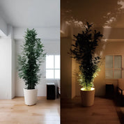 Spotlight LED Wall Light Home Decor Adjustable Modern Design - Image 9
