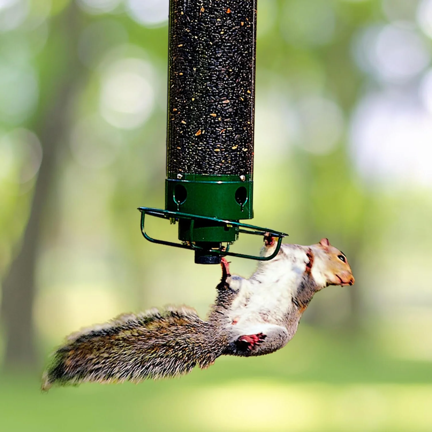 Squirrel Proof Bird Feeder Durable Design Outdoor Use - Image 1