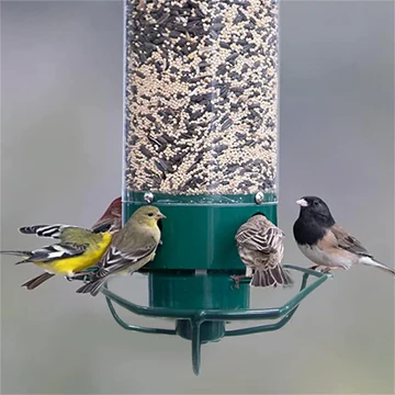 Squirrel Proof Bird Feeder Durable Design Outdoor Use - Image 2