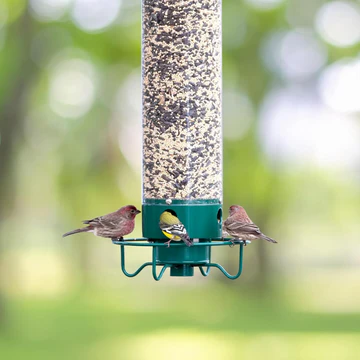 Squirrel Proof Bird Feeder Durable Design Outdoor Use - Image 4