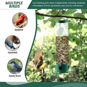 Squirrel Proof Bird Feeder Durable Design Outdoor Use - Image 5