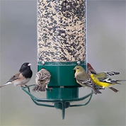 Squirrel Proof Bird Feeder Hanging Outdoor Garden Decor - Image 10