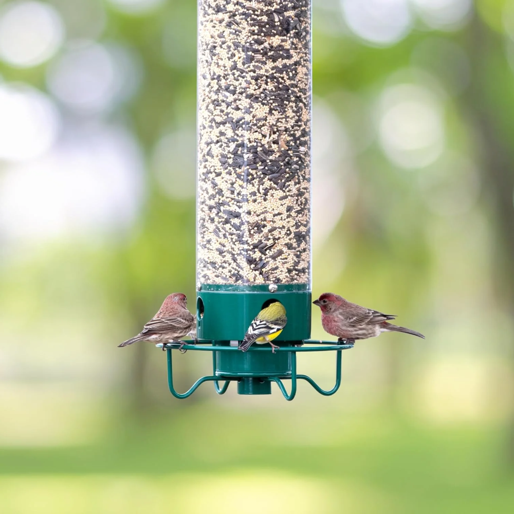 Squirrel Proof Bird Feeder Hanging Outdoor Garden Decor - Image 8