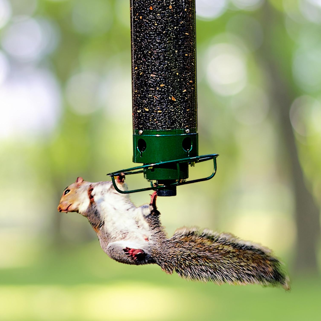 Squirrel Proof Bird Feeder Multi Port Design Easy Fill - Image 1