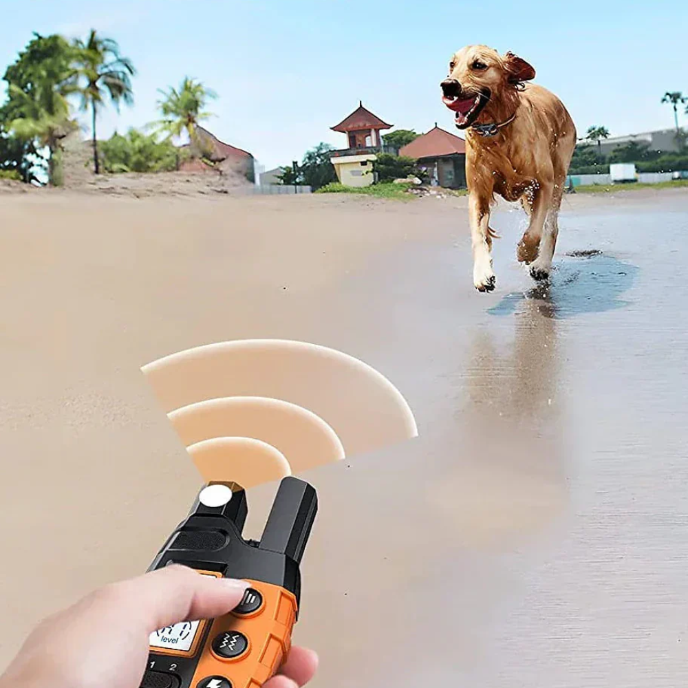 Training Collar Remote Rechargeable E-Collar - Image 4
