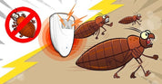 Ultrasonic Bed Bug Repeller Effective Pest Control Device 8-Pack - Image 7